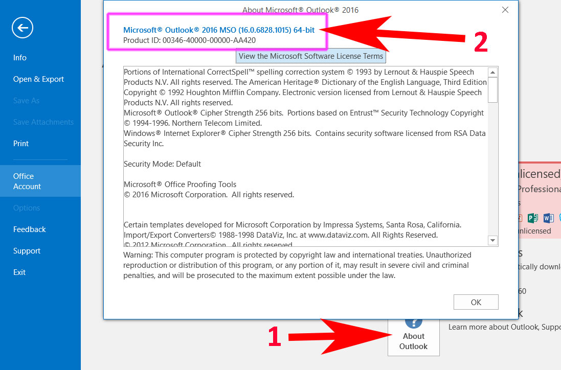 Microsoft Office 365/2013/2016 - 64 bit